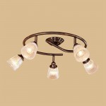 Светильник настенно-потолочный Citilux CL539551 Виндзор