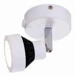 Светильник настенно-потолочный Citilux CL557511 Данди