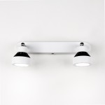 Светильник настенно-потолочный Citilux CL557521 Данди