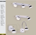 Светильник настенно-потолочный Citilux CL557521 Данди