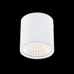 Потолочный светильник Citilux CL558070 Стамп