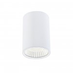 Потолочный светильник Citilux CL558100 Стамп