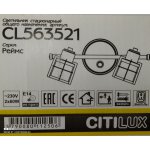 Светильник настенно-потолочный Citilux CL563521 Реймс