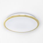 Светильник Citilux CL70332 Старлайт