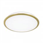 Светильник Citilux CL70332 Старлайт