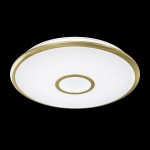 Светильник диодный с пультом Citilux CL70362R СтарЛайт