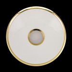 Светильник Citilux CL70382R Старлайт