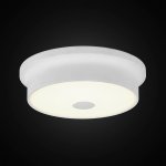Светильник накладной Citilux CL706210 Фостер-2