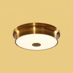 Светильник настенно-потолочный Citilux CL706222 Фостер-2