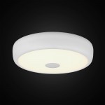 Светильник настенно-потолочный Citilux CL706320 Фостер-3