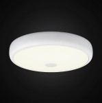 Светильник настенно-потолочный Citilux CL706330 Фостер-3