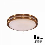 Светильник накладной Citilux CL709323N Бостон