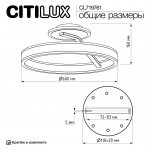 Citilux CL719761