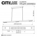 Citilux CL720021N