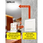 Citilux CL723680G