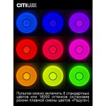 Citilux CL723680G
