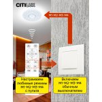 Citilux CL723900G