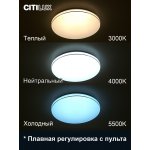 Citilux CL725330G