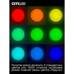 Светильник потолочный Citilux CL725480G