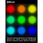 Светильник Citilux CL725900G