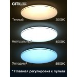 Светильник Citilux CL725900G