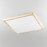 Светильник накладной Citilux CL738K502V Бейсик