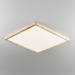 Светильник накладной Citilux CL738K502V Бейсик