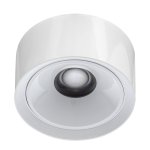 Светильник накладной Citilux CL743060N ROVER