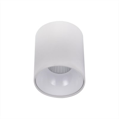 Светильник накладной Citilux CL7440100 Старк