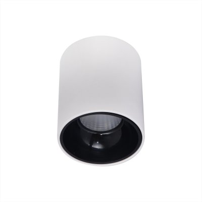 Светильник накладной Citilux CL7440101 Старк