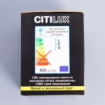 Светильник накладной Citilux CL7440103 Старк