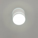 Светильник накладной Citilux CL745020N Борн