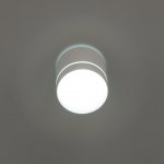 Светильник накладной Citilux CL745020N Борн