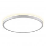 Светильник накладной Citilux CL748320 NORMA