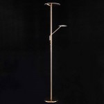 Торшер напольный Citilux CL802005