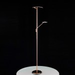 Торшер напольный Citilux CL802005