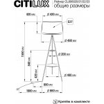 Торшер Citilux CL806020 Рейнер