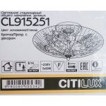 Люстра Citilux CL915251 Регент
