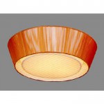 Светильник потолочный Citilux CL935012