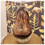 Настольная лампа Cloyd AGAR T1 / выс. 62 см - хром (арт.30082)