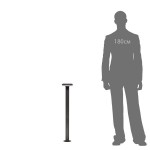 Светильник уличный парковый Citilux CLU01B