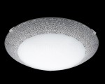Настенно-потолочный светильник Eglo 95668 MAGITTA 1