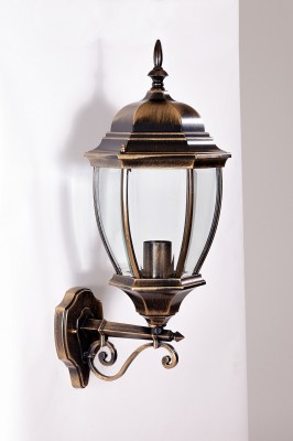 Светильник настенный Oasis Light 91201L Gb