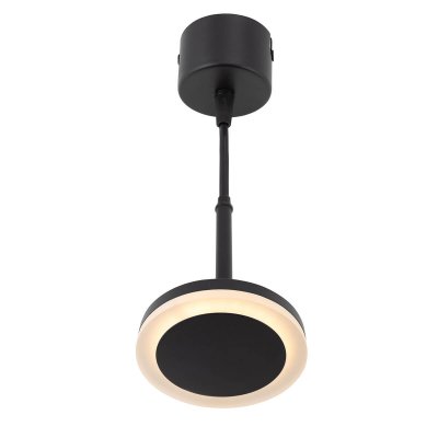 Светильник Denkirs DK4022-BK