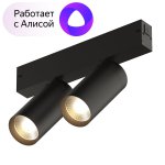 Акцентный светильник Denkirs DK8012-BK