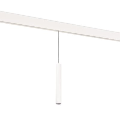 Donolux DL20296WW10WS