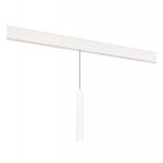 Donolux DL20296WW10WS