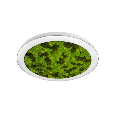 Donolux DL600C54NW Moss White  