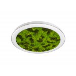 Donolux DL600C54WW Moss White  