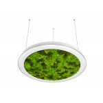 Donolux DL600S54WW Moss White 